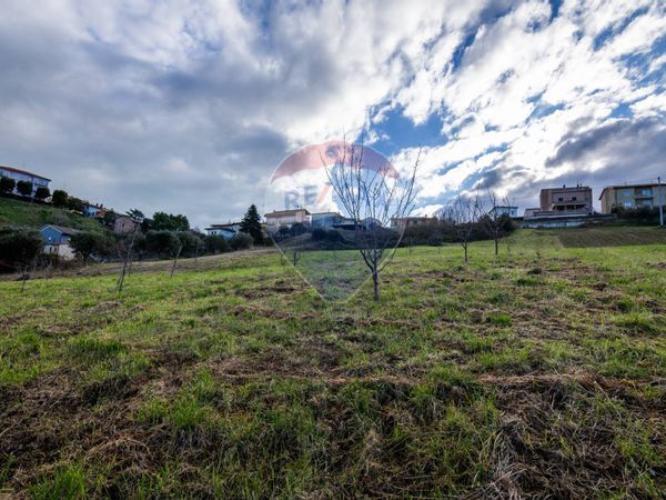 Terreno Edificabile Loreto, AN Vendita