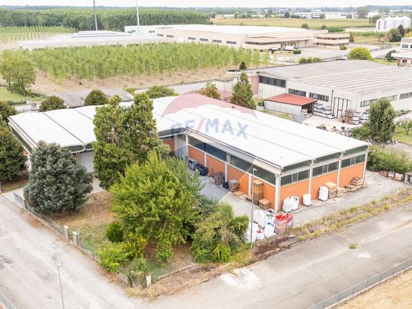 Capannone Industriale Roncadello, Casalmaggiore, CR Vendita