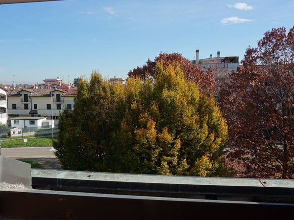 Appartamento Arluno, MI Vendita - Foto 3