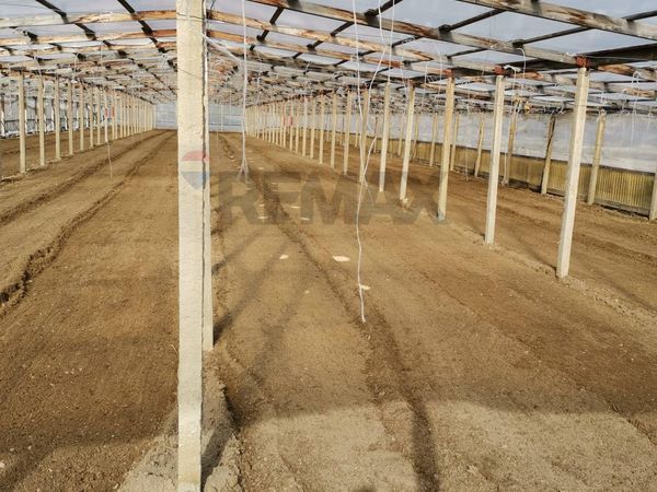 Terreno Sampieri, Scicli, RG Affitto - Foto 2