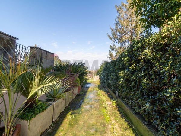 Appartamento Frascati, RM Vendita - Foto 4