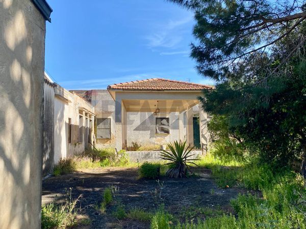 Casa Indipendente Castelluzzo, San Vito Lo Capo, TP Vendita - Foto 4