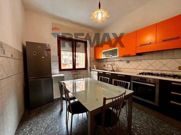 Appartamento Monte Sacro, Roma, RM Affitto - Foto 4
