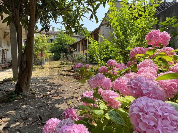 Cascina/Casale Rivanazzano, PV Vendita - Foto 3