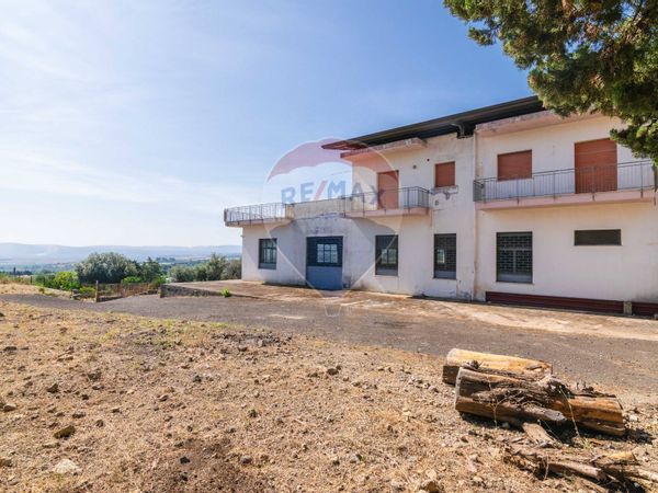 Villa singola Scordia, CT Vendita - Foto 3