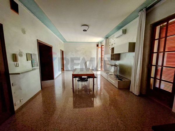 Appartamento Castelbellino Stazione, Castelbellino, AN Affitto - Foto 2