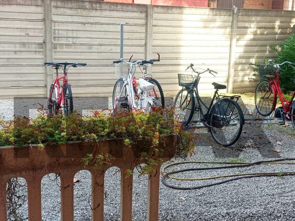 Appartamento Via Bologna, Ferrara, FE Affitto - Foto 3