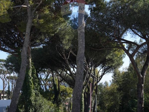 Villa singola Montedoro, Torre del Greco, NA Vendita - Foto 3