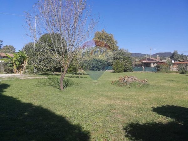 Terreno Trevignano Romano, RM Vendita