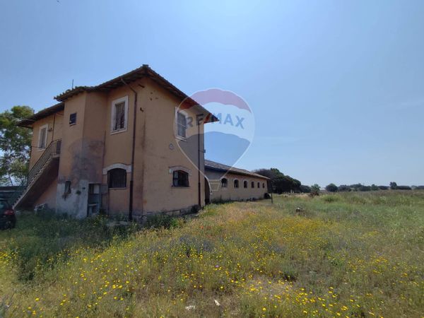 Cascina/Casale S. Palomba, Pomezia, RM Vendita - Foto 2
