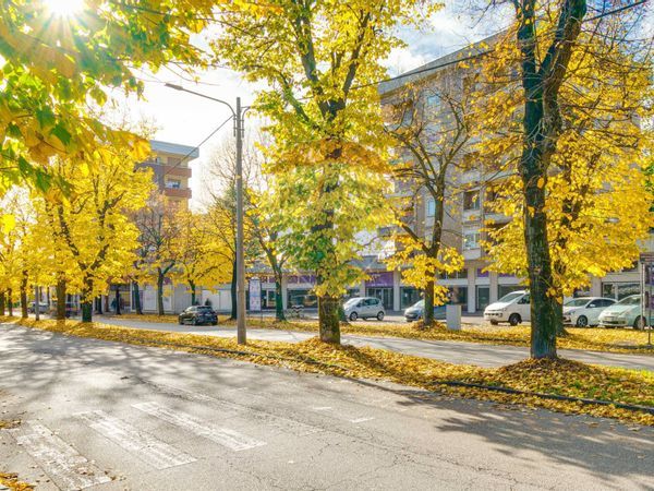 Negozio S. Edoardo, Busto Arsizio, VA Affitto - Foto 3