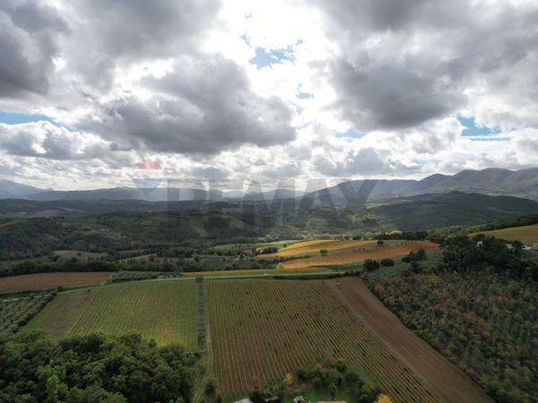 Azienda Agricola Torregrosso, Castel Ritaldi, PG Vendita - Foto 4