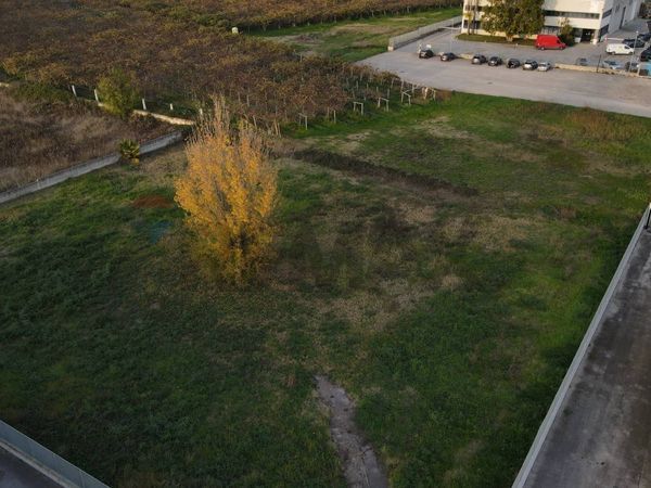 Terreno Industriale Borgo Flora, Cisterna di Latina, LT Vendita