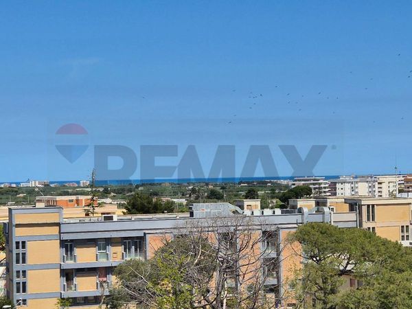 Appartamento Triggiano, BA Vendita - Foto 2