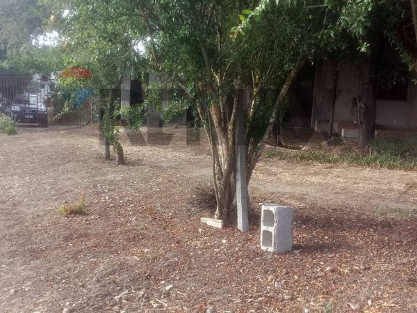 Terreno Edificabile Ollastra, OR Vendita - Foto 2