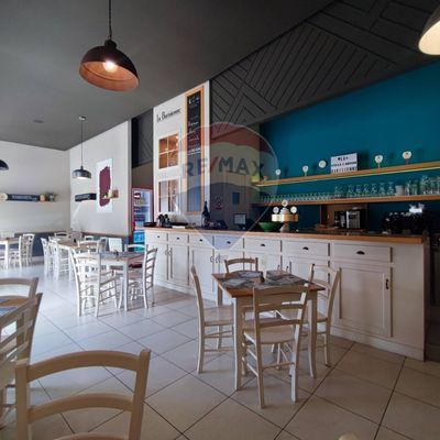 Ristorante Mola di Bari, BA Vendita - Foto 6