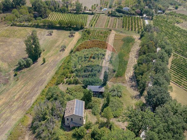 Villa singola Moie, Maiolati Spontini, AN Vendita - Foto 2