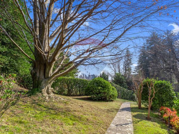 Villa singola Velate, Varese, VA Vendita - Foto 4