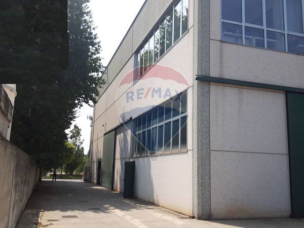 Capannone Industriale Cologno Monzese, MI Affitto - Foto 3