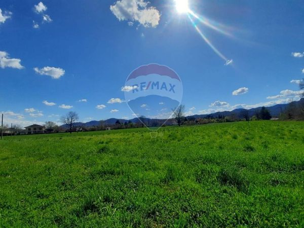 Terreno Edificabile Pellizzari, Pecetto di Valenza, AL Vendita