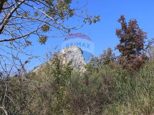 Terreno Chiesanuova, SM Vendita - Foto 3