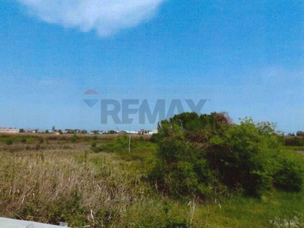 Terreno Industriale Martinsicuro, TE Vendita - Foto 4