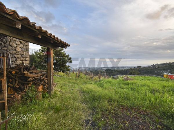 Rustico Milo, CT Vendita - Foto 3