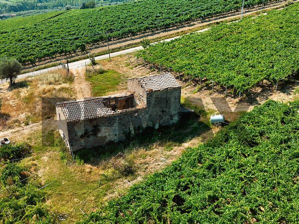 Rustico Frisa, CH Vendita - Foto 4