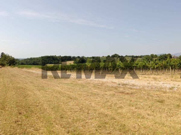 Terreno Castrezzone, Muscoline, BS Vendita - Foto 4