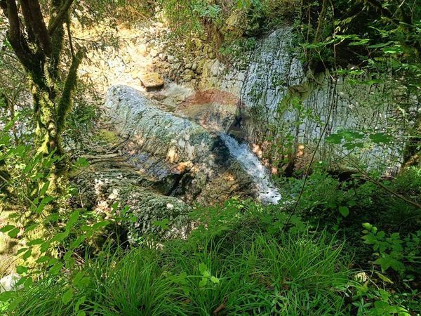 Magazzino Colmirano-Uson, Setteville, BL Vendita - Foto 3