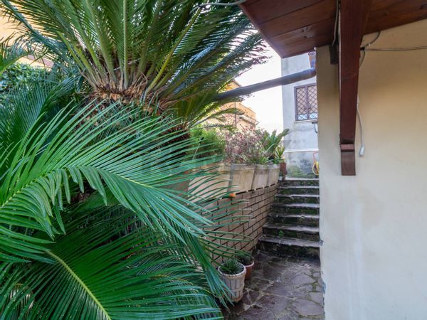 Appartamento Frascati, RM Vendita - Foto 3