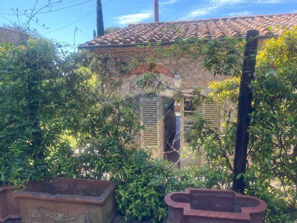 Casa Indipendente Poderi di Montemerano, Manciano, GR Vendita - Foto 3