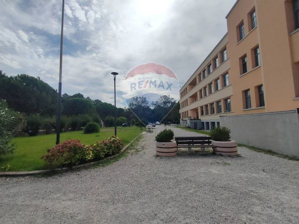 Appartamento Marina di Ravenna, Ravenna, RA Vendita - Foto 4