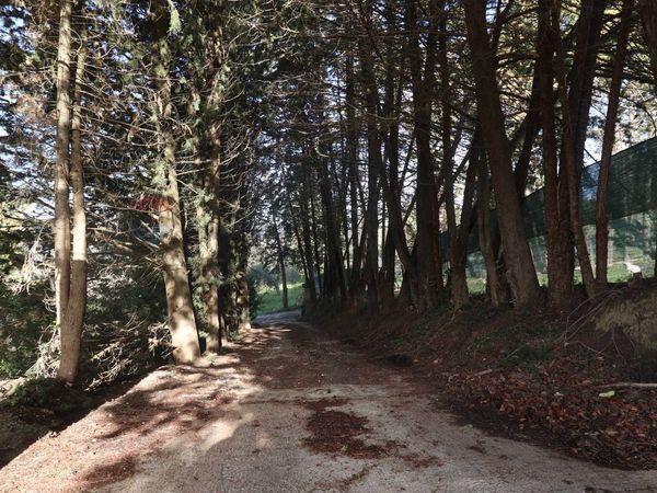 Villa singola La Martella, Matera, MT Vendita