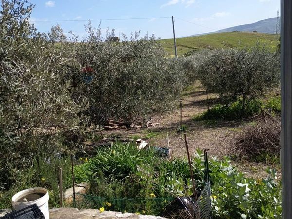 Villa o villino Ramacca, CT Vendita - Foto 4
