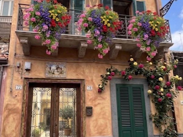Casa Indipendente Pedara, CT Vendita