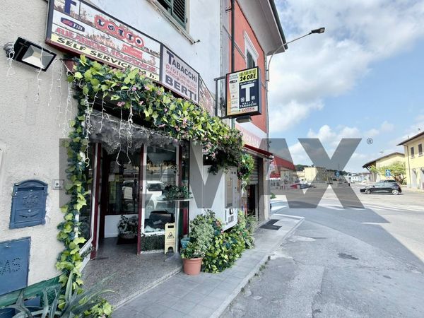 Attività  Commerciale San Romano, Montopoli in Val d'Arno, PI Vendita - Foto 2