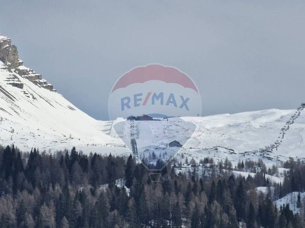 Albergo/Hotel Madonna di Campiglio, Pinzolo, TN Vendita - Foto 3
