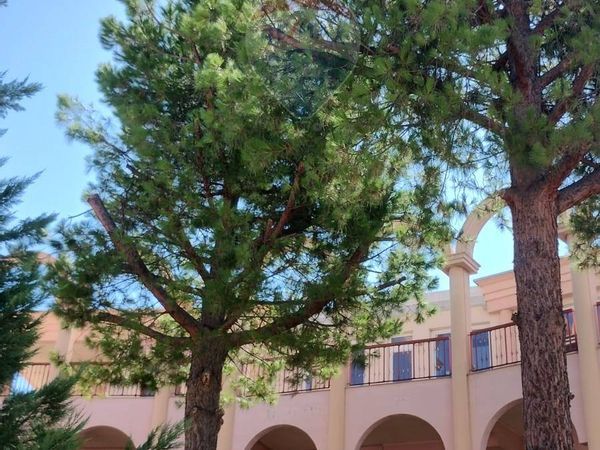 Commerciale Altro Barletta, BT Affitto - Foto 3