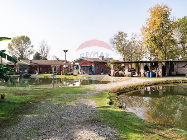 Attività  Commerciale Castel Goffredo, MN Vendita - Foto 4