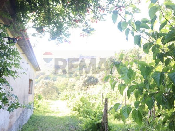 Casa Indipendente Castiglione di Sicilia, CT Vendita - Foto 3