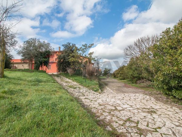 Casa Semindipendente Farnese, VT Vendita - Foto 4