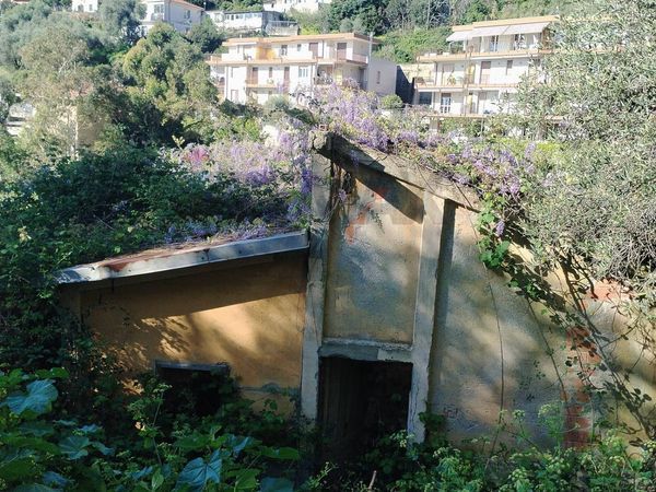 Rustico Bussana, Sanremo, IM Vendita - Foto 2