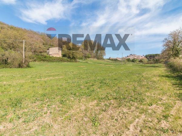 Cascina/Casale Semproniano, GR Vendita - Foto 4