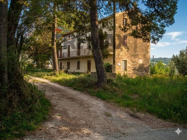 Cascina/Casale Casoli, CH Vendita - Foto 2