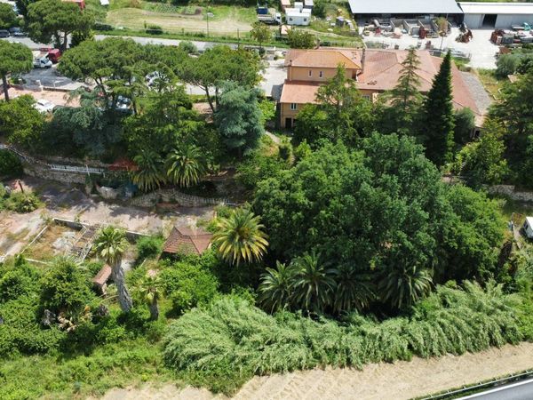 Attività  Commerciale Campagnano di Roma, RM Vendita - Foto 2