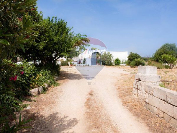 Cascina/Casale Mesagne, BR Vendita - Foto 4