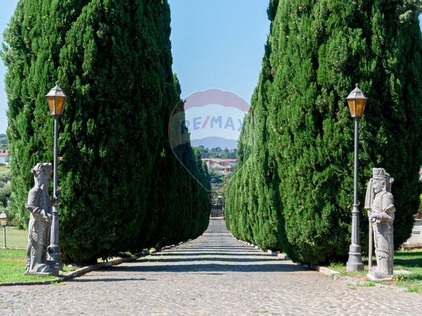 Cascina/Casale Ciampino, RM Vendita - Foto 3