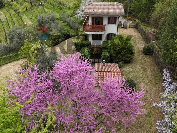 Casa Indipendente Montaltissimo, Molazzana, LU Vendita