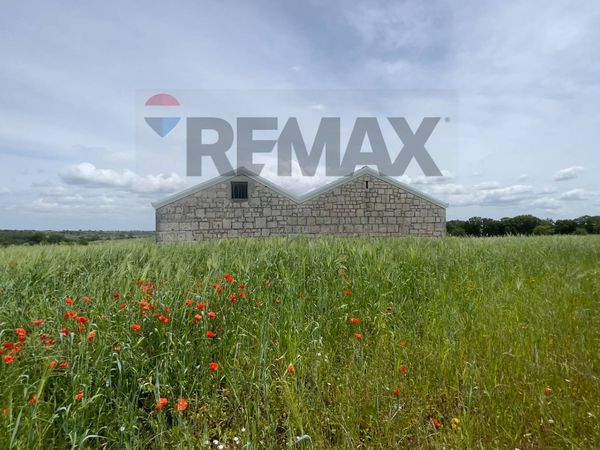Villa singola Santeramo in Colle, BA Vendita - Foto 4